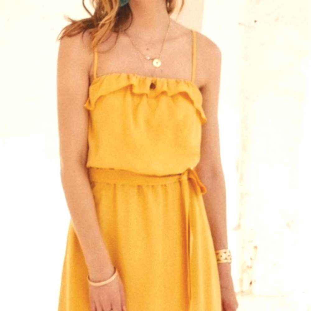 NWOT Sezane Cassandra Silk Dress Size 40.